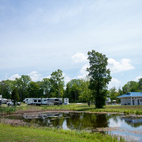 Hidden Ponds