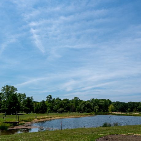 Hidden Ponds